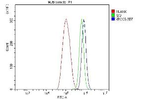 Flow Cytometry analysis of THP-1 cells using anti-Ku70 antibody (ABIN7602790).