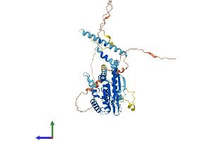 AlphaFold protein structure predicition of Human Recombinant SEPTIN4 Protein, UniprotID O43236