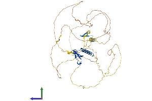 Protein Structure (PS) image for Chromobox Homolog 2 (CBX2) (AA 1-532) protein (His tag) (ABIN7553136)