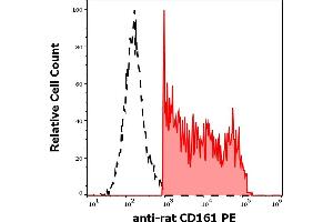 Flow Cytometry (FACS) image for anti-Killer Cell Lectin-Like Receptor Subfamily B, Member 1 (KLRB1) antibody (PE) (ABIN2749047)