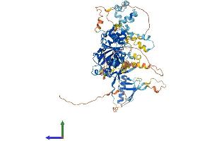 AlphaFold protein structure predicition of Human Recombinant DDHD2 Protein, UniprotID O94830