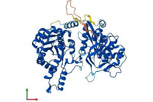 Protein Structure (PS) image for CTP Synthase (CTPS) (AA 1-591) protein (His tag) (ABIN7551150)