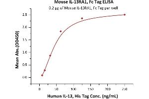 ELISA image for Interleukin 13 Receptor, alpha 1 (IL13RA1) (AA 26-340) protein (Fc Tag) (ABIN2181338)
