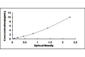 Typical standard curve (TRPM1 ELISA 试剂盒)