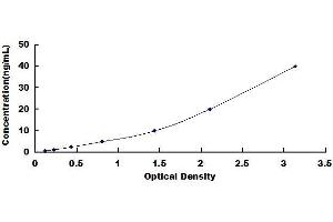 Typical standard curve (PLA2G7 ELISA 试剂盒)