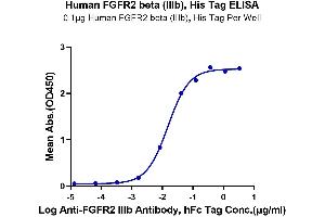 Immobilized Human FGFR2 beta (IIIb) at 1 μg/mL (100 μL/well) on the plate.