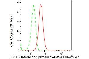 Flow cytometric analysis of BCL2 interacting protein 1 expression in HT- cells using BCL2 interacting protein 1 antibody (ABIN7797757), 1:2,000). (Recombinant BNIP1 抗体)