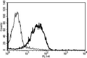 Flow Cytometry (FACS) image for anti-CD99 (CD99) antibody (ABIN1106630) (CD99 抗体)