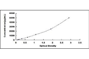 Typical standard curve (SERPINB3 ELISA 试剂盒)
