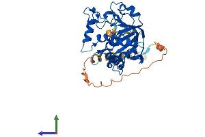 Protein Structure (PS) image for ST6 (Alpha-N-Acetyl-Neuraminyl-2,3-beta-Galactosyl-1,3)-N-Acetylgalactosaminide alpha-2,6-Sialyltransferase 5 (ST6GALNAC5) (AA 1-336) protein (His tag) (ABIN7546095)
