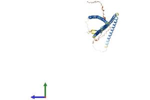 Protein Structure (PS) image for Keratin 23 (KRT23) (AA 1-422) protein (His tag) (ABIN7548594)