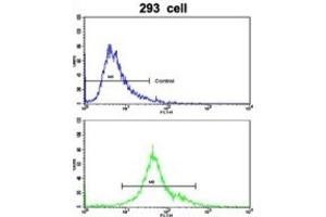Flow Cytometry (FACS) image for anti-Elastin Microfibril Interfacer 1 (EMILIN1) antibody (ABIN3002724) (Emilin1 抗体)