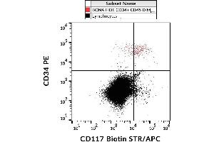 Surface staining of human peripheral blood cells with anti-CD117 (104D2) biotin, streptavidin-APC. (KIT 抗体  (Biotin))