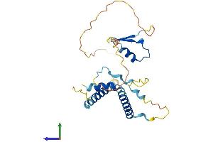 AlphaFold protein structure predicition of Human Recombinant LIN37 Protein, UniprotID Q96GY3
