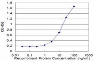 Detection limit for recombinant GST tagged CDK9 is approximately 1ng/ml as a capture antibody. (CDK9 抗体  (AA 271-372))
