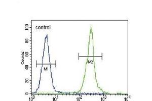 CLDN16 Antibody (N-term) (ABIN654394 and ABIN2844136) flow cytometric analysis of MDA-M cells (right histogram) compared to a negative control cell (left histogram). (Claudin 16 抗体  (N-Term))