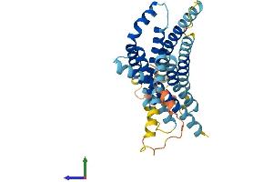 AlphaFold protein structure predicition of Mouse Recombinant Tas2r119 Protein, UniprotID Q9JKT2