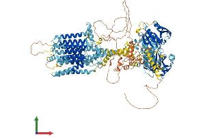 AlphaFold protein structure predicition of Human Recombinant ADCY8 Protein, UniprotID P40145