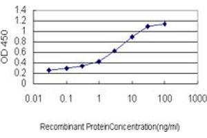 Detection limit for recombinant GST tagged AHCYL1 is approximately 0. (AHCYL1 抗体  (AA 1-101))