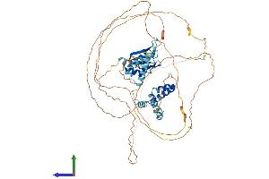 Protein Structure (PS) image for Cleavage Stimulation Factor, 3' Pre-RNA, Subunit 2, 64kDa, tau Variant (CSTF2T) (AA 1-632) protein (His tag) (ABIN7559186)