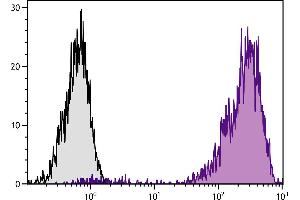 Human peripheral blood lymphocytes were stained with Mouse Anti-Human CD44-PE. (CD44 抗体  (PE))