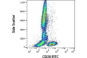Flow cytometry surface staining pattern of human peripheral whole blood stained using anti-human CD28 (CD28. (CD28 抗体  (FITC))