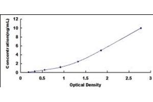 Typical standard curve (Sestrin 2 ELISA 试剂盒)