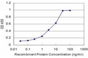 Detection limit for recombinant GST tagged RBM9 is approximately 0. (RBM9 抗体  (AA 1-100))