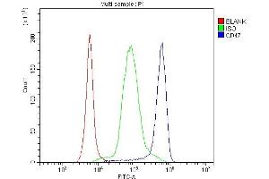 Flow Cytometry analysis of human PBMC cells using anti-CD47 antibody (ABIN6719291).
