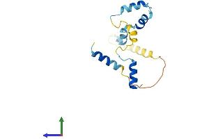AlphaFold protein structure predicition of Mouse Recombinant Rps19bp1 Protein, UniprotID Q8C6B9