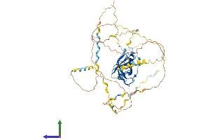AlphaFold protein structure predicition of Mouse Recombinant Naf1 Protein, UniprotID Q3UMQ8