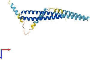 Charged Multivesicular Body Protein 1B (CHMP1B) (AA 1-199) protein (His tag)
