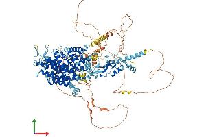 AlphaFold protein structure predicition of Mouse Recombinant Clcn1 Protein, UniprotID Q64347 (CLCN1 Protein (AA 1-994) (His tag))