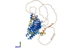 AlphaFold protein structure predicition of Human Recombinant FBXL5 Protein, UniprotID Q9UKA1