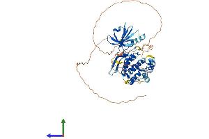 AlphaFold protein structure predicition of Mouse Recombinant Stk33 Protein, UniprotID Q924X7