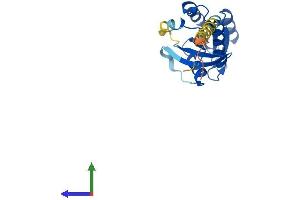 Protein Structure (PS) image for RAB15, Member RAS Onocogene Family (RAB15) (AA 1-212) protein (His tag) (ABIN7559539)