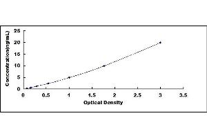 Typical standard curve (PGAM1 ELISA 试剂盒)