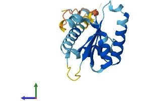 Protein Structure (PS) image for Growth Arrest and DNA-Damage-Inducible, alpha (GADD45A) (AA 1-165) protein (His tag) (ABIN7547771)