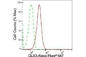 Flow cytometric analysis of DLX3 expression in C2C12 cells using DLX3 antibody (ABIN7798357), 1:(ABIN7798691). (Recombinant DLX3 抗体)