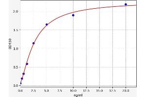 Typical standard curve (Septin 3 ELISA 试剂盒)