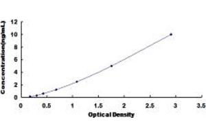 Typical standard curve (MAT2A ELISA 试剂盒)