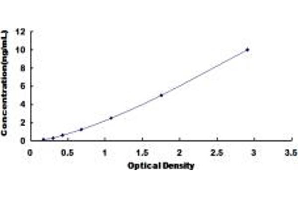 MAT2A ELISA 试剂盒