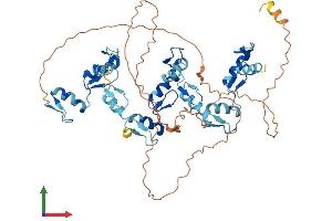 Protein Structure (PS) image for Zinc Finger Protein 35 (ZNF35) (AA 1-527) protein (His tag) (ABIN7545363)