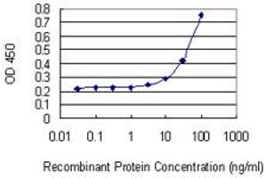 Detection limit for recombinant GST tagged CDC2L6 is 1 ng/ml as a capture antibody. (CDK19 抗体  (AA 1-114))