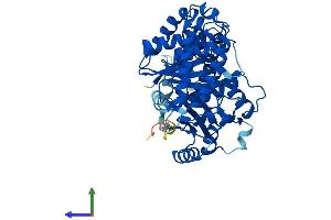 Protein Structure (PS) image for Tubulin, alpha 1c (TUBA1C) (AA 1-449) protein (His tag) (ABIN7556660)