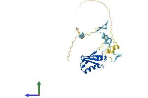 AlphaFold protein structure predicition of Human Recombinant RCAN3 Protein, UniprotID Q9UKA8
