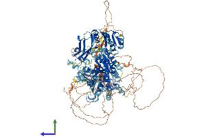 Protein Structure (PS) image for Phosphatidylinositol Transfer Protein, Membrane-Associated 1 (PITPNM1) (AA 1-1243) protein (His tag) (ABIN7562393)