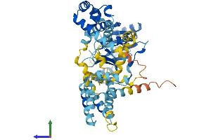 Protein Structure (PS) image for Signal Recognition Particle 54kDa (SRP54) (AA 1-504) protein (His tag) (ABIN7562876)