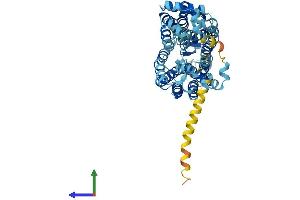 Protein Structure (PS) image for Solute Carrier Family 22 Member 6 (SLC22A6) (AA 1-545) protein (His tag) (ABIN7564725)
