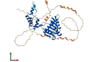 AlphaFold protein structure predicition of Human Recombinant FAM83A Protein, UniprotID Q86UY5 (FAM83A Protein (AA 1-434) (His tag))